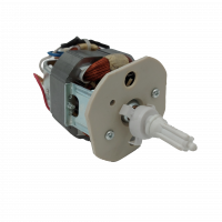 MOTOR PICADORA